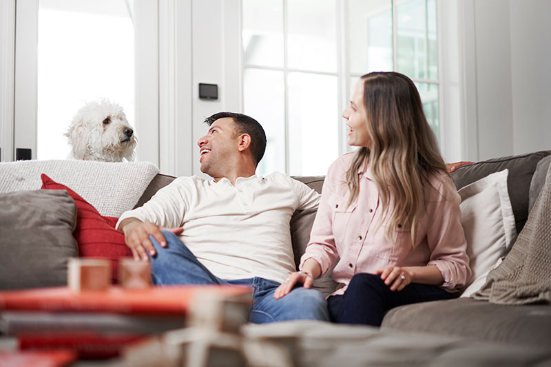 Do Air Purifiers Relieve Allergies?